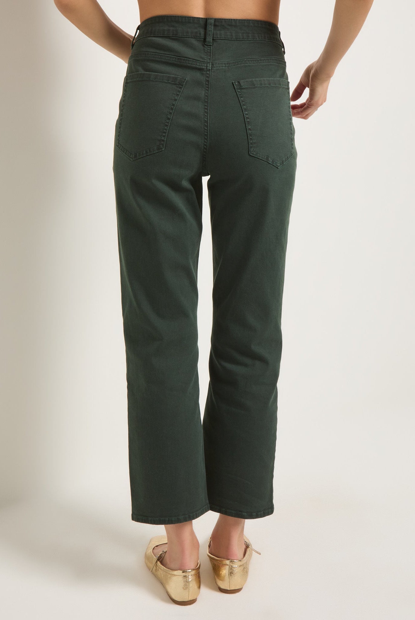 Pinecrest $|& SEAS Bray Straight Leg Twill Pant - SOF Back