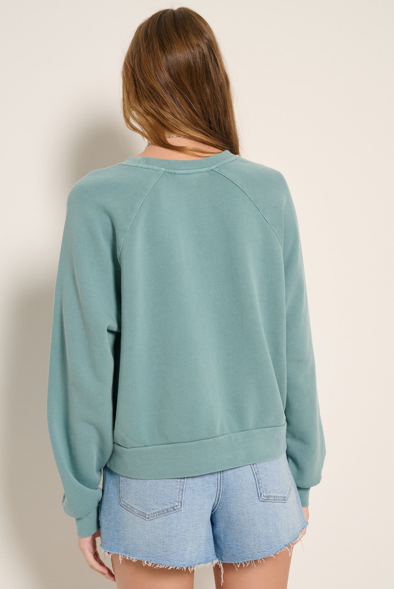 Seaglass $|& SEAS Voyage Inset Pullover - SOF Back