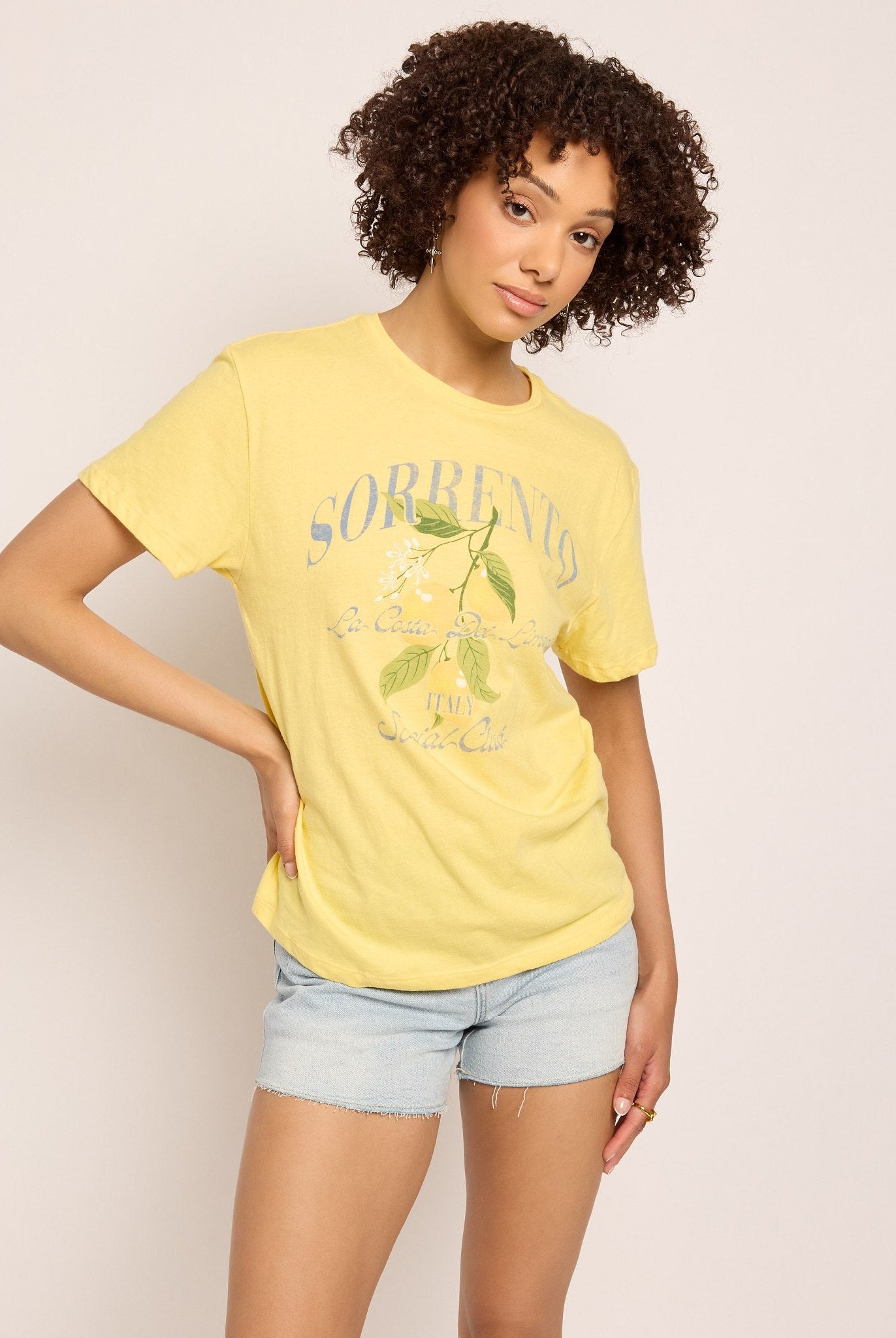 Sunshine $|& SEAS Floret Relaxed Tee "SORRENTO" - SOF Front