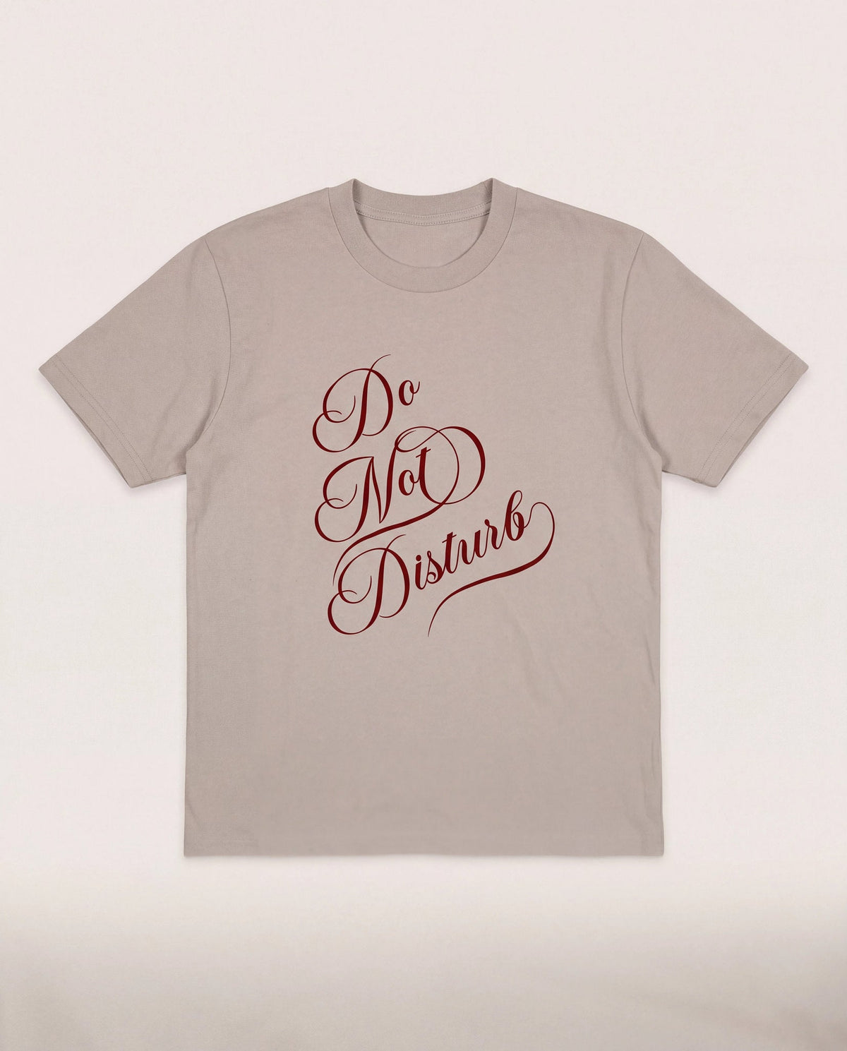 Birch $|& SEAS Dreamer Graphic Tee - Hanger Detail