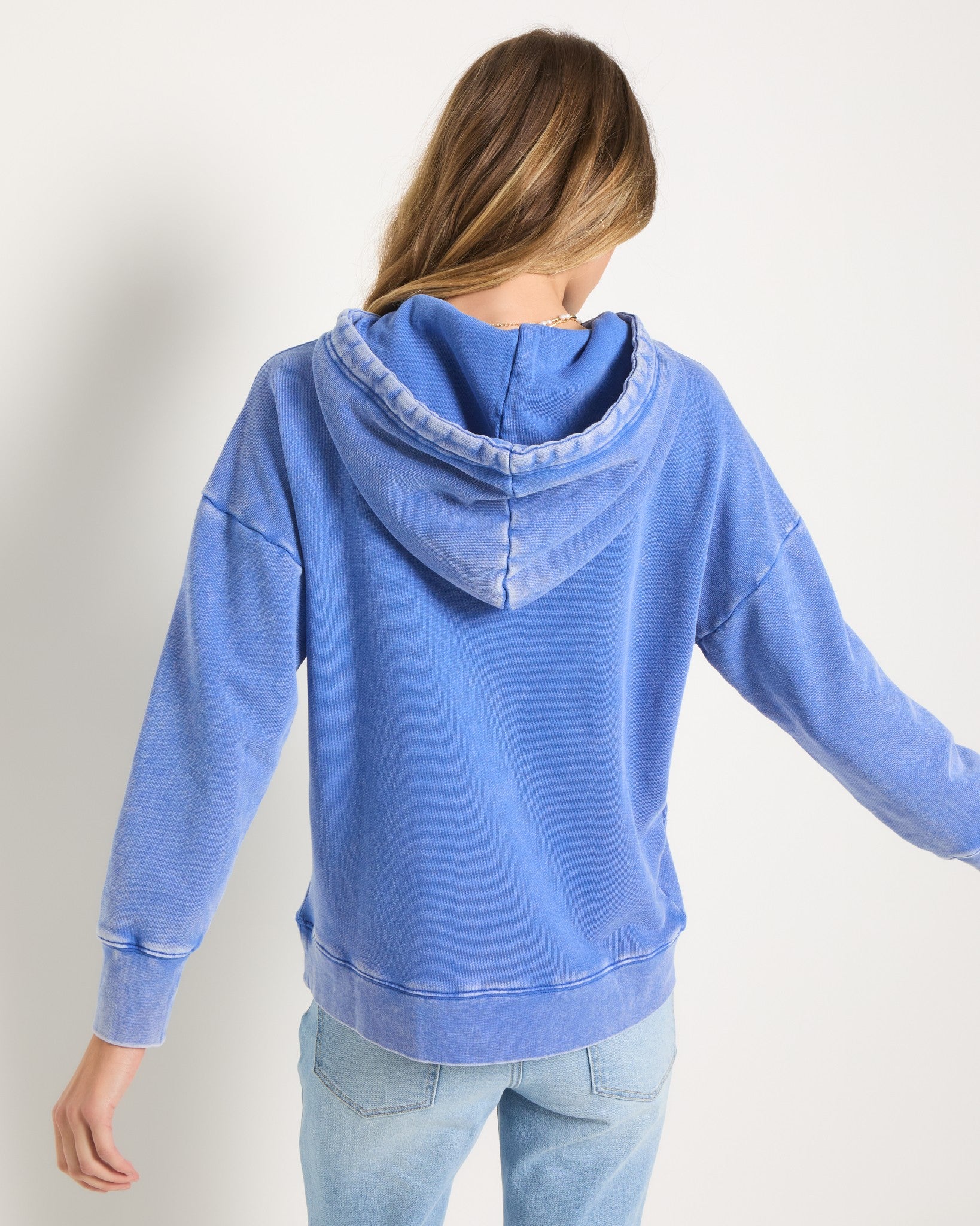 Washed Cobalt $|& SEAS Bayside Mineral Wash Hoodie - SOF Back