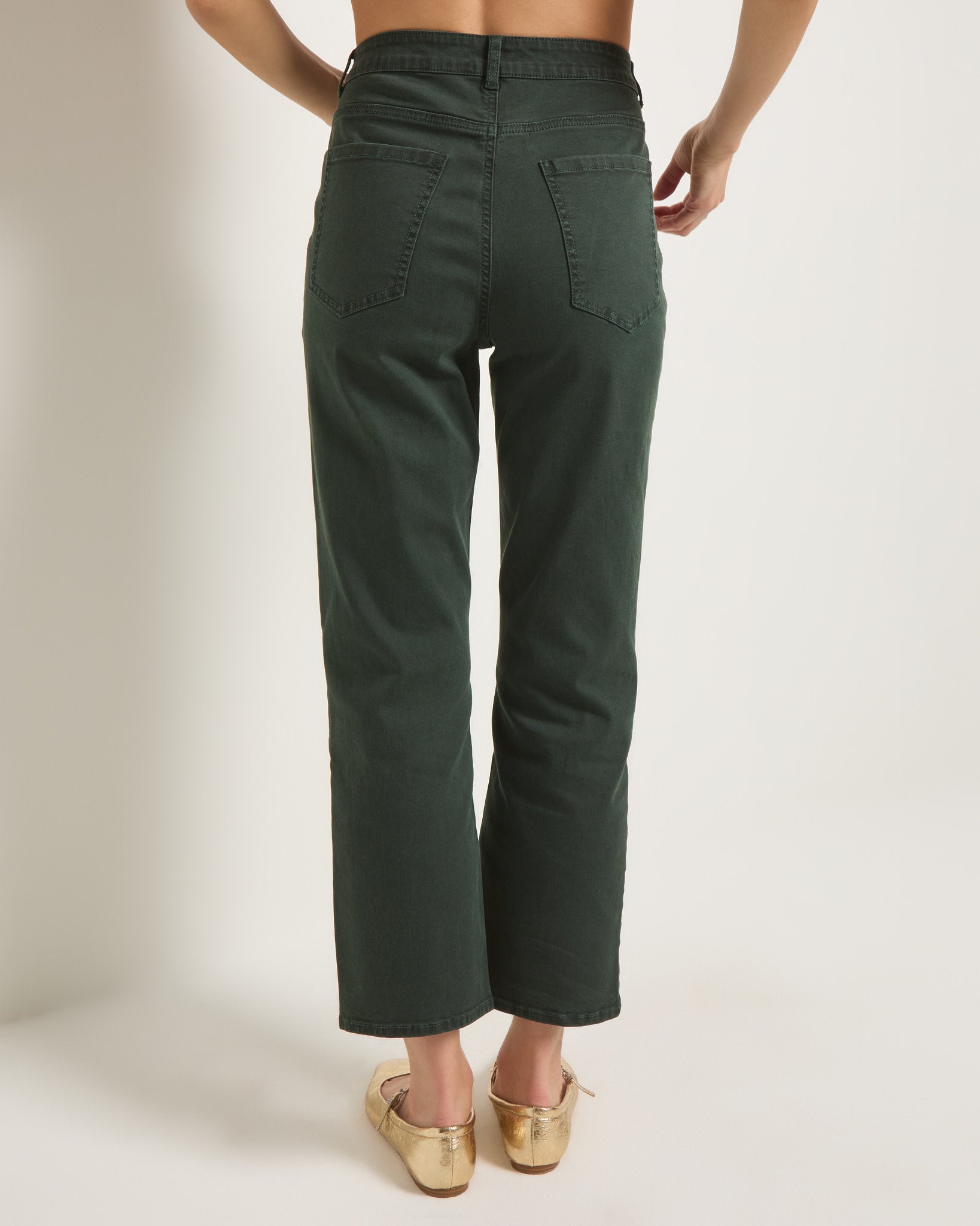Pinecrest $|& SEAS Bray Straight Leg Twill Pant - SOF Back