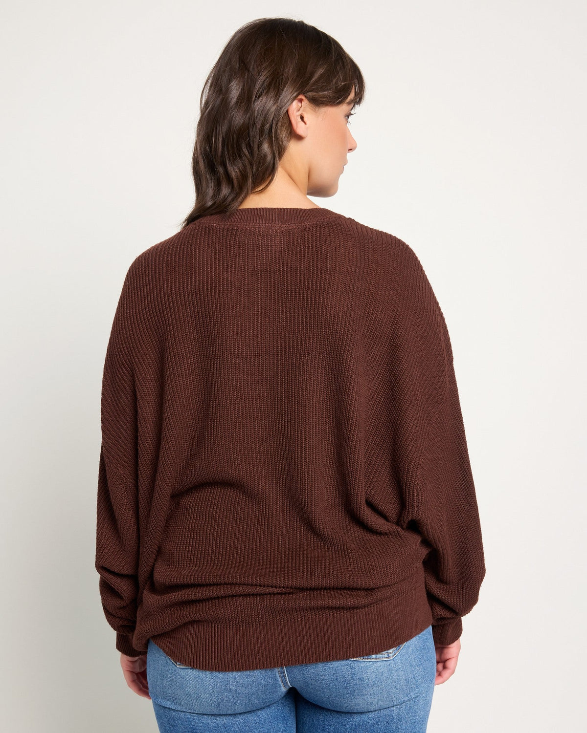 Chocolate $|& SEAS Coastal Crew Neck Pullover - SOF Back