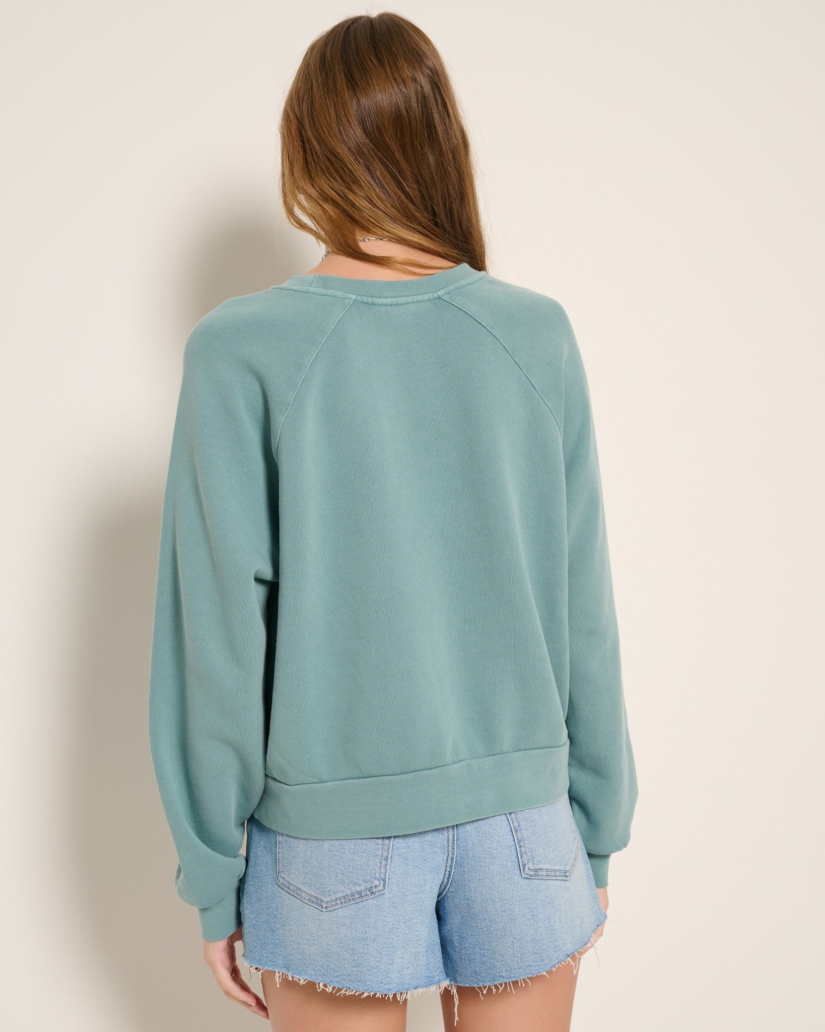 Seaglass $|& SEAS Voyage Inset Pullover - SOF Back